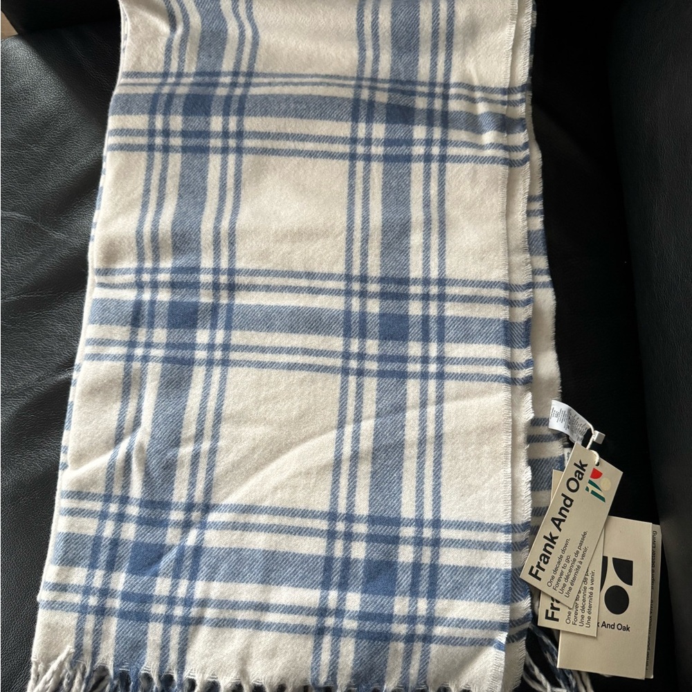 Frank And Oak Blue and White Plaid Scarf